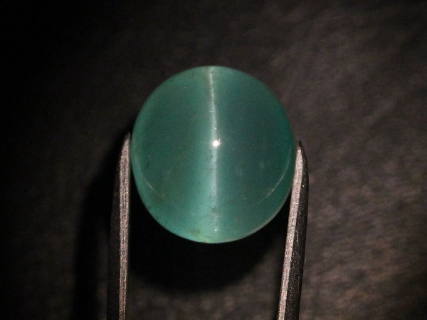 �G�������h