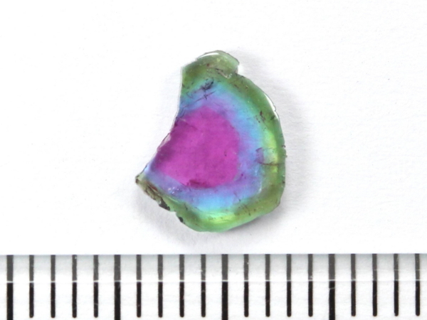pCog}