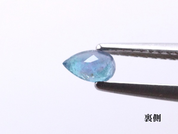 �p���C�o�g���}����