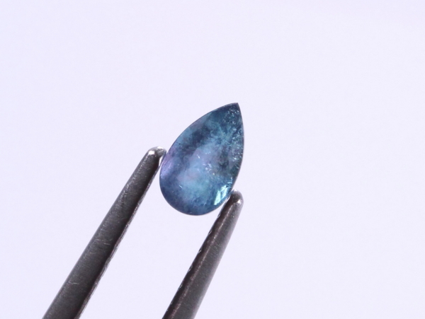 �p���C�o�g���}����