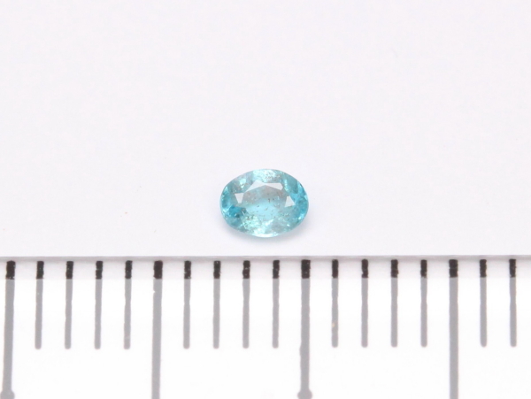 �p���C�o�g���}����