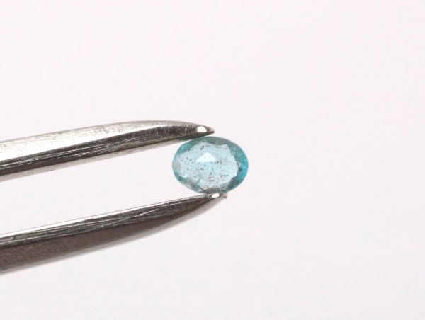 �p���C�o�g���}����