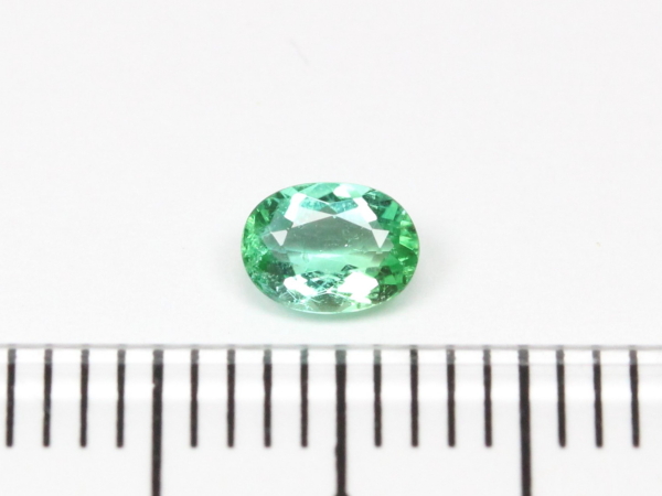 �p���C�o�g���}����