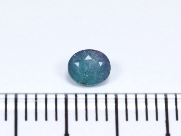 �p���C�o�g���}����