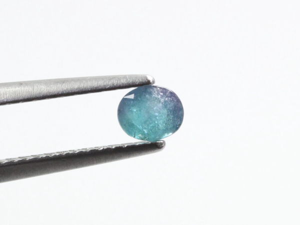 �p���C�o�g���}����