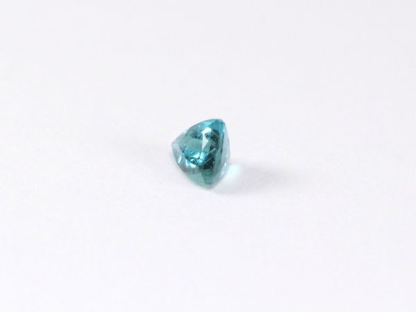 �p���C�o�g���}����