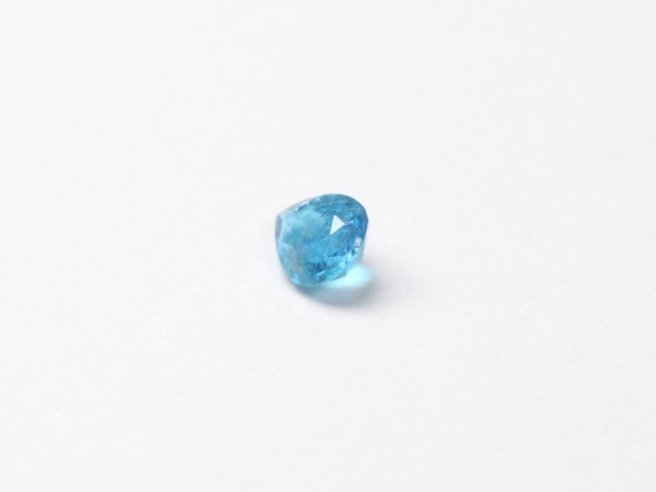 �p���C�o�g���}����