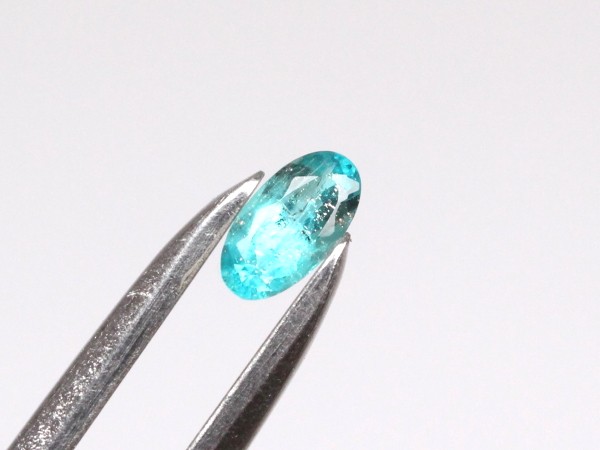 �p���C�o�g���}����