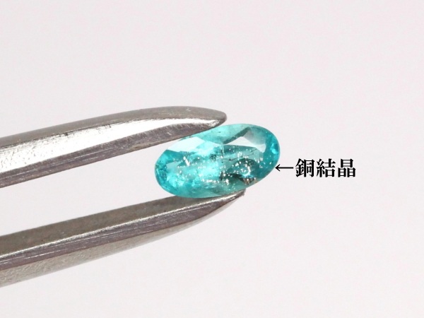 �p���C�o�g���}����