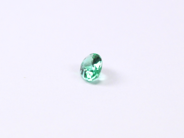 �p���C�o�g���}����