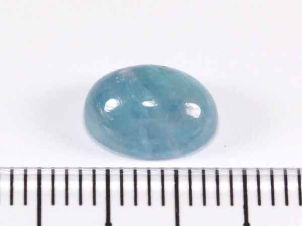 �p���C�o�g���}����