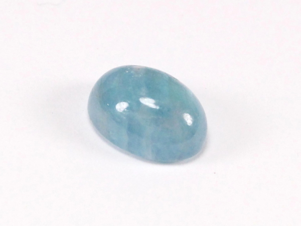 �p���C�o�g���}����