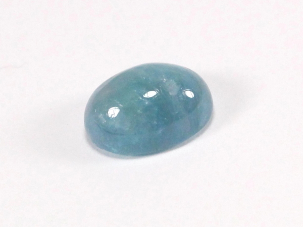 �p���C�o�g���}����