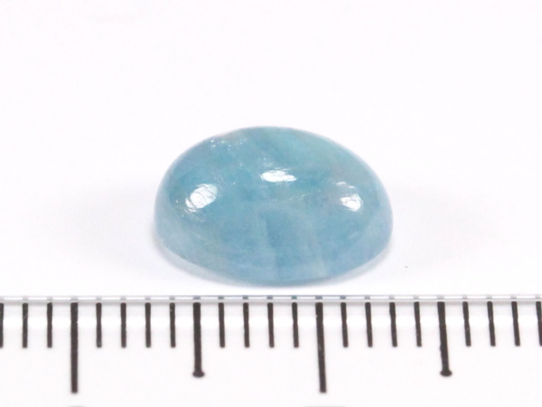 �p���C�o�g���}����