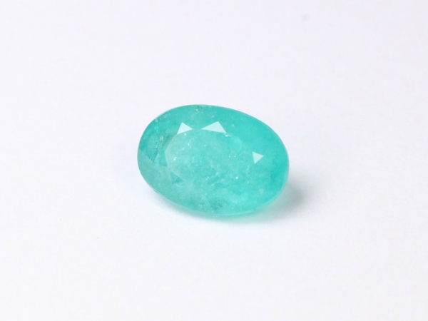 �p���C�o�g���}����