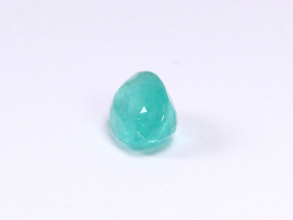 �p���C�o�g���}����