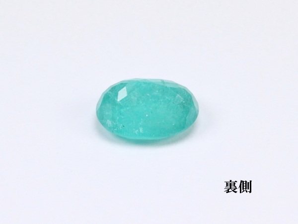 �p���C�o�g���}����