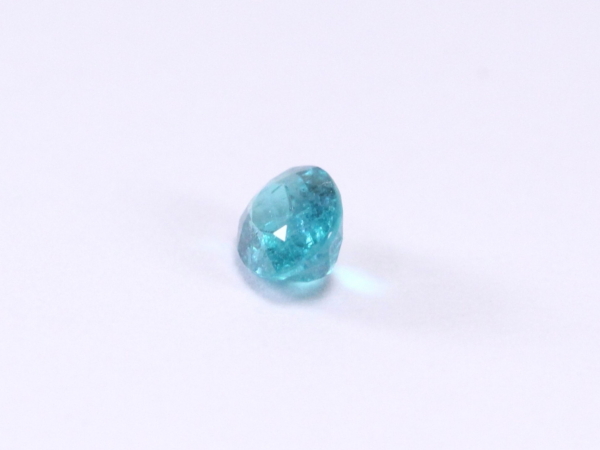 �p���C�o�g���}����