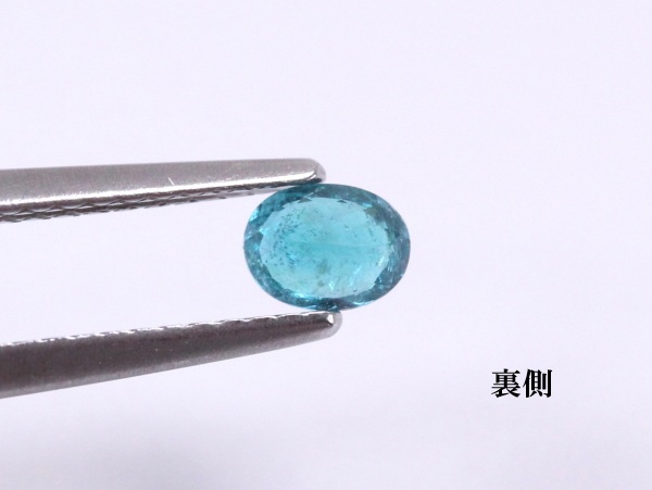 �p���C�o�g���}����