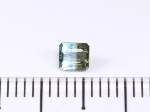 �p���C�o�g���}����