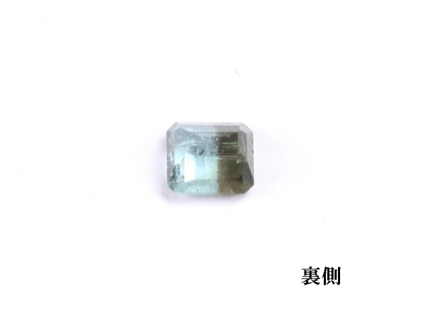 �p���C�o�g���}����