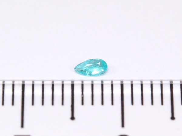 �p���C�o�g���}����