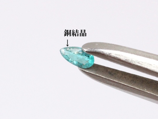 �p���C�o�g���}����