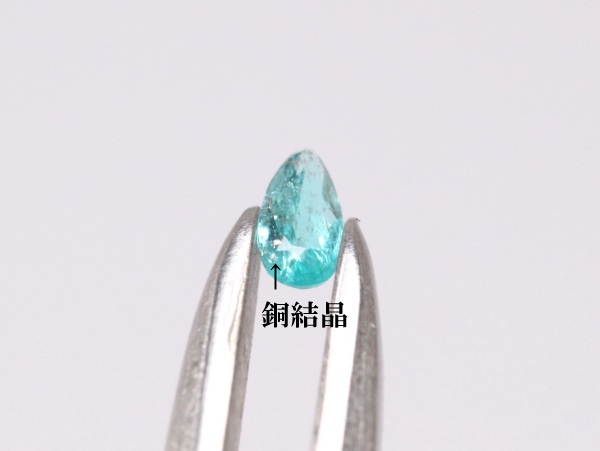 �p���C�o�g���}����