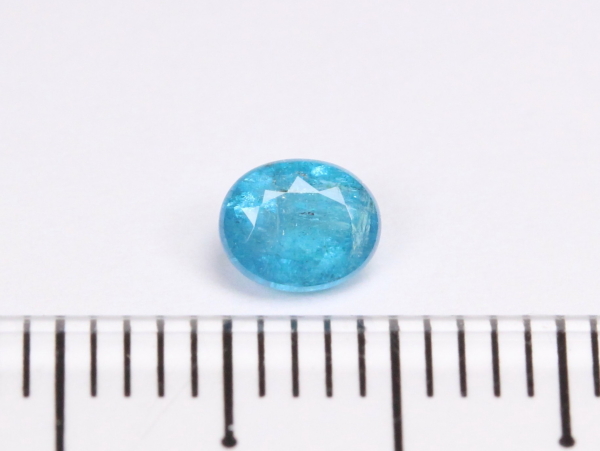 �p���C�o�g���}����