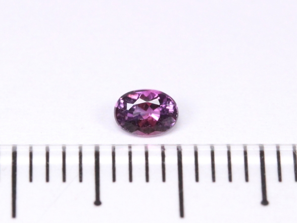 �p���C�o�g���}����