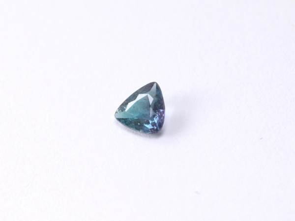 �p���C�o�g���}����