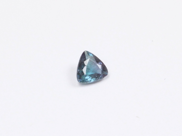 �p���C�o�g���}����