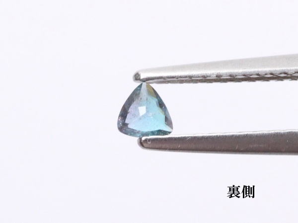 �p���C�o�g���}����