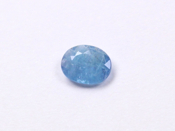 �p���C�o�g���}����