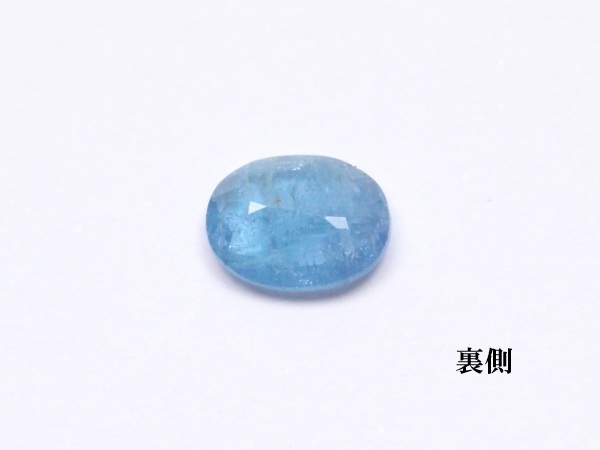 �p���C�o�g���}����