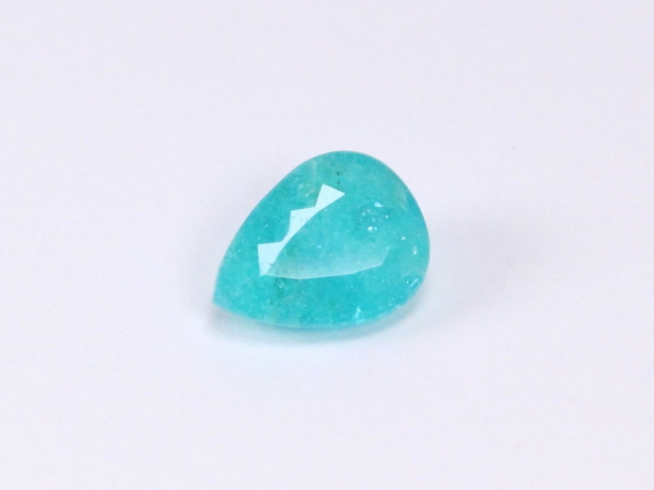 �p���C�o�g���}����