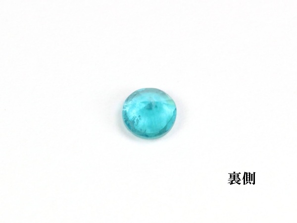 �p���C�o�g���}����