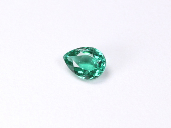 �p���C�o�g���}����