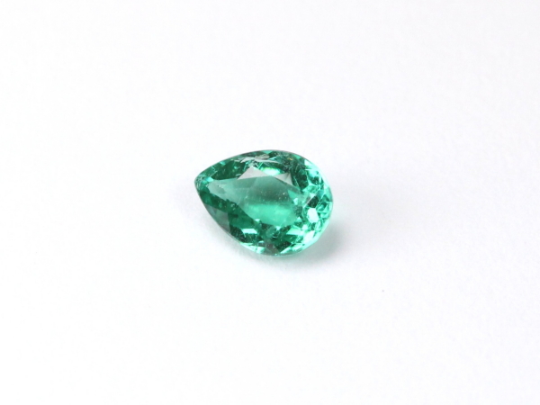 �p���C�o�g���}����