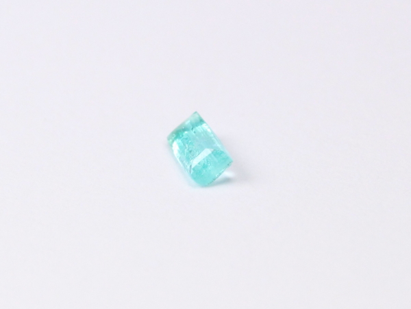 �p���C�o�g���}����