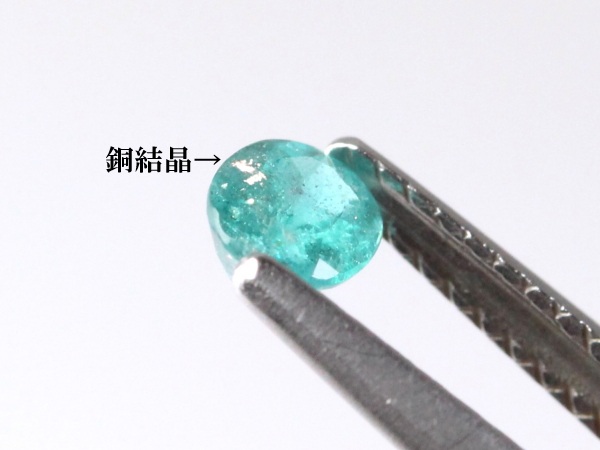 �p���C�o�g���}����