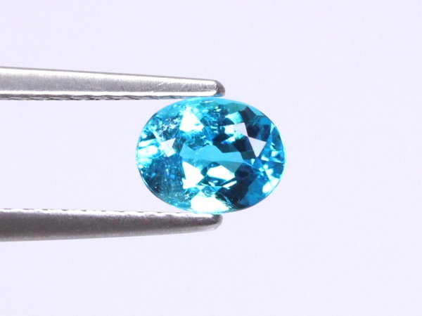 �p���C�o�g���}����