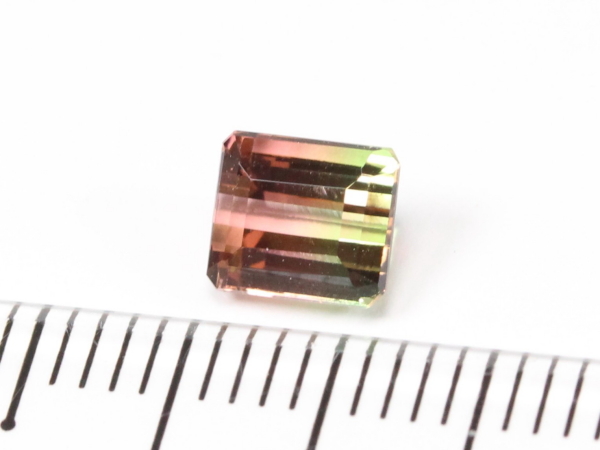 �g���}����