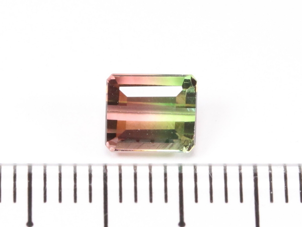 �g���}����